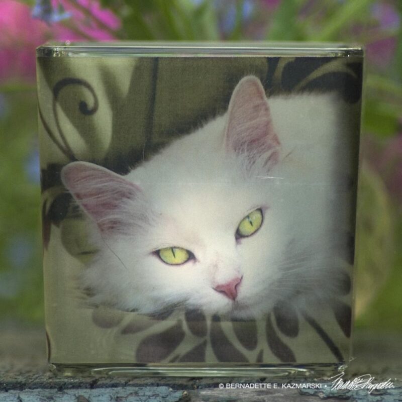 white cat on votive